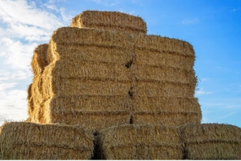 Success! No Prior Approval Required for a Hay / Apple Storage Barn in the Harrogate District