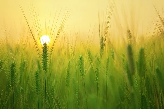2024 Planning Approvals – Prism Ag Rural Planning