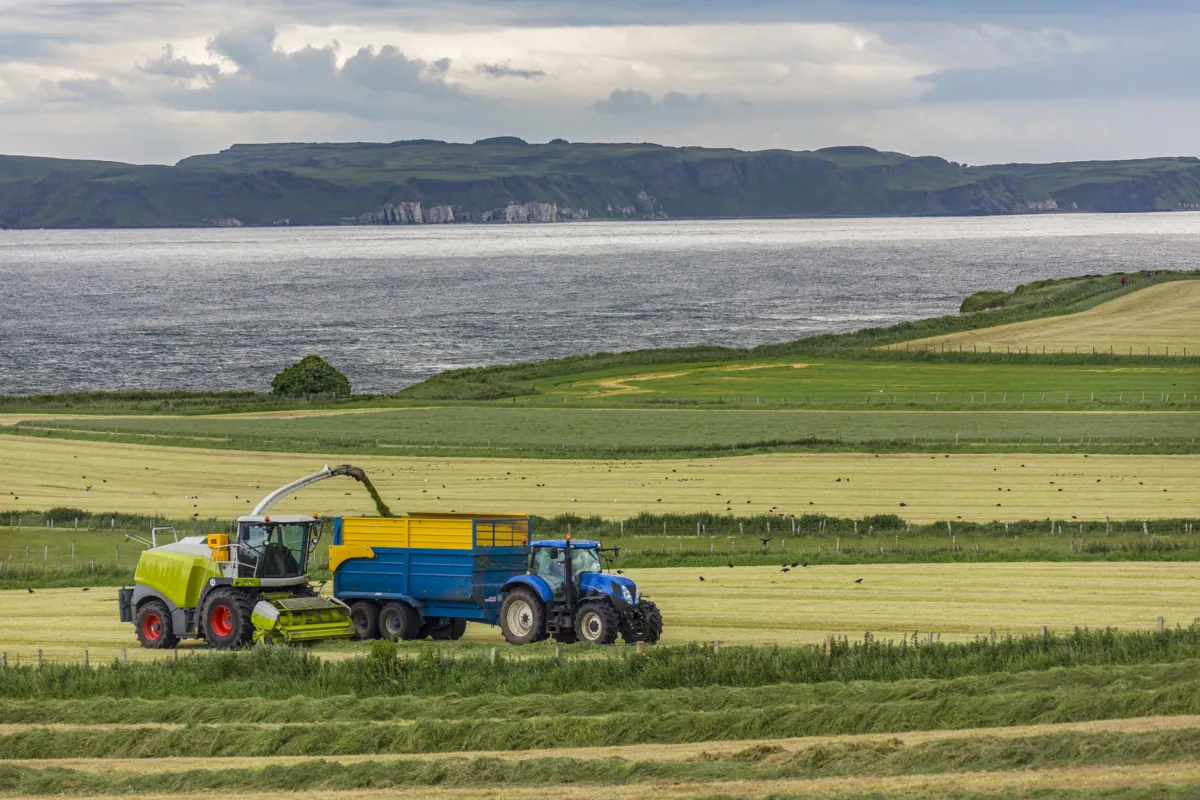 Agricultural land being harvested beside the coast
